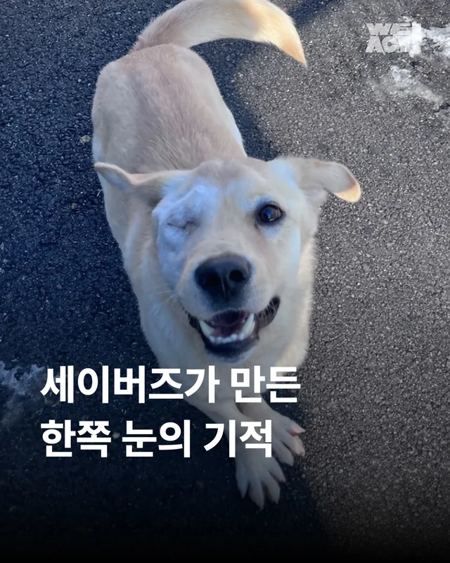 세이버즈가 만든 한쪽 눈의 기적 #위액트보보 현장 사진