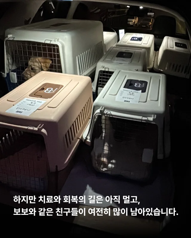 세이버즈가 만든 한쪽 눈의 기적 #위액트보보 현장 사진