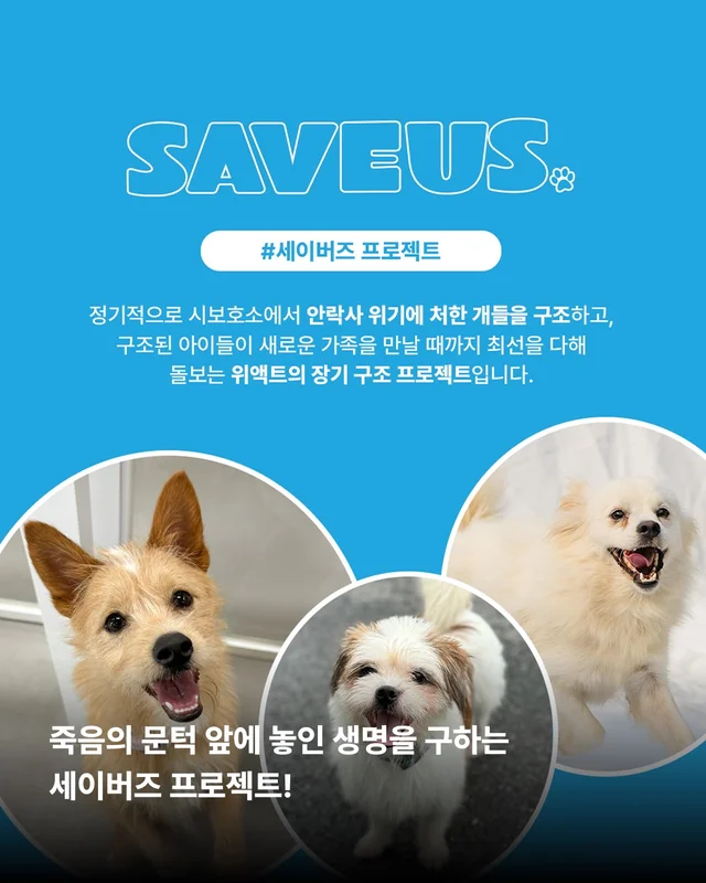 세이버즈가 만든 한쪽 눈의 기적 #위액트보보 현장 사진