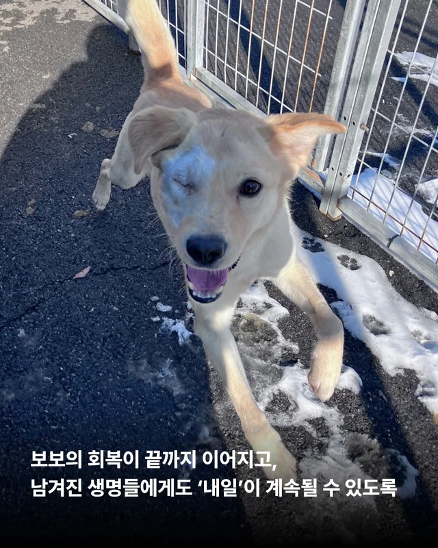 세이버즈가 만든 한쪽 눈의 기적 #위액트보보 현장 사진