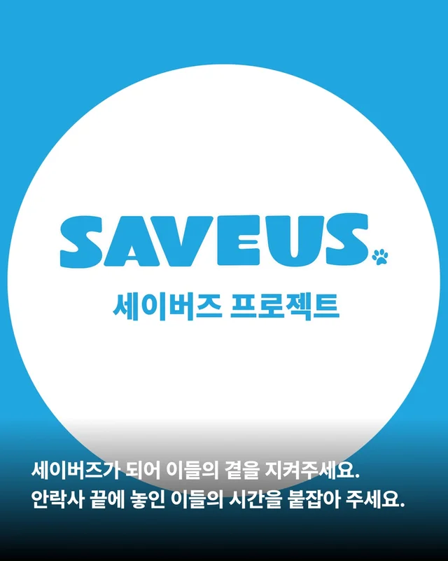 세이버즈가 만든 한쪽 눈의 기적 #위액트보보 현장 사진