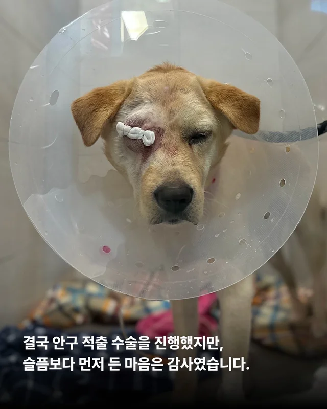 세이버즈가 만든 한쪽 눈의 기적 #위액트보보 현장 사진