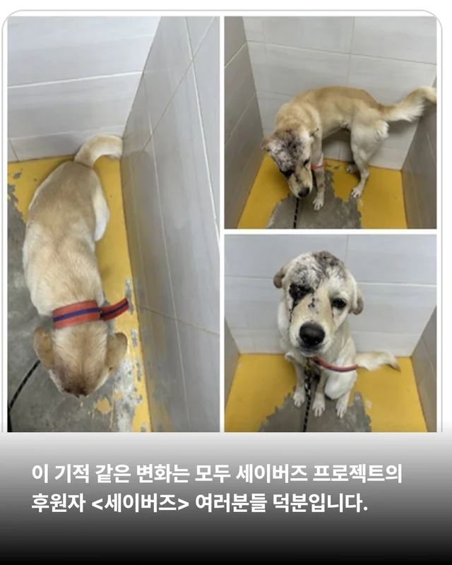 세이버즈가 만든 한쪽 눈의 기적 #위액트보보 현장 사진