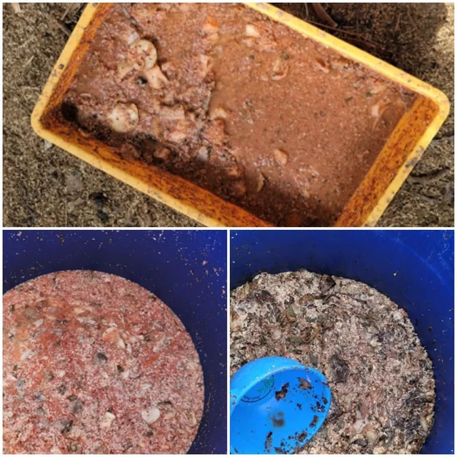 화성팔탄개농장_3 현장 사진