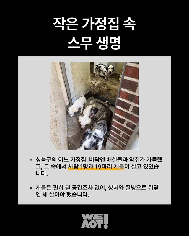 성북구 애니멀호더 현장 사진