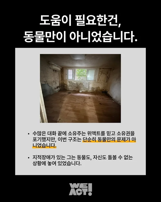 성북구 애니멀호더 현장 사진