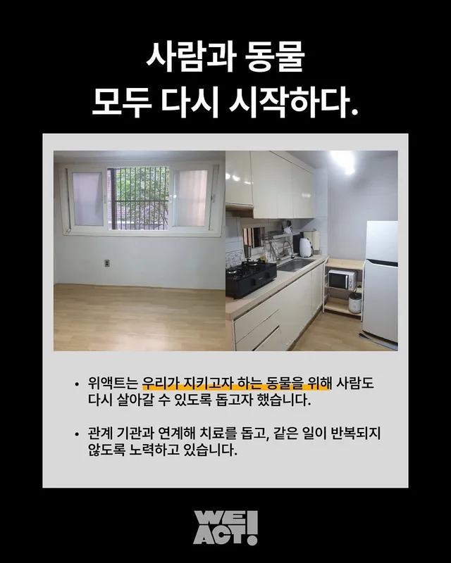 성북구 애니멀호더 현장 사진