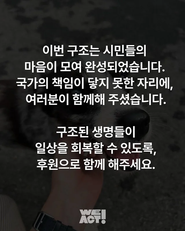 성북구 애니멀호더 현장 사진