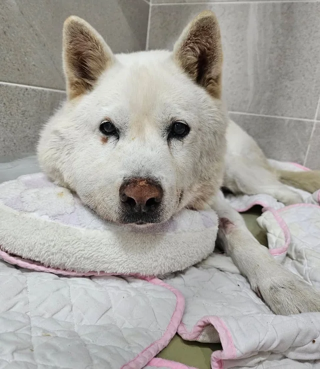 혼자 보기엔 아까운 개인기, 여러분께라도 자랑해야겠.. 현장 사진