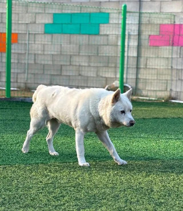 혼자 보기엔 아까운 개인기, 여러분께라도 자랑해야겠.. 현장 사진