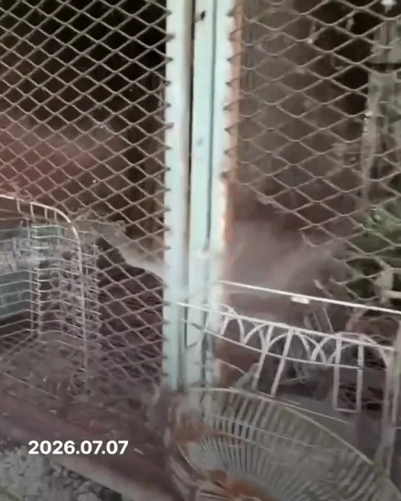 전남개농장 현장 사진