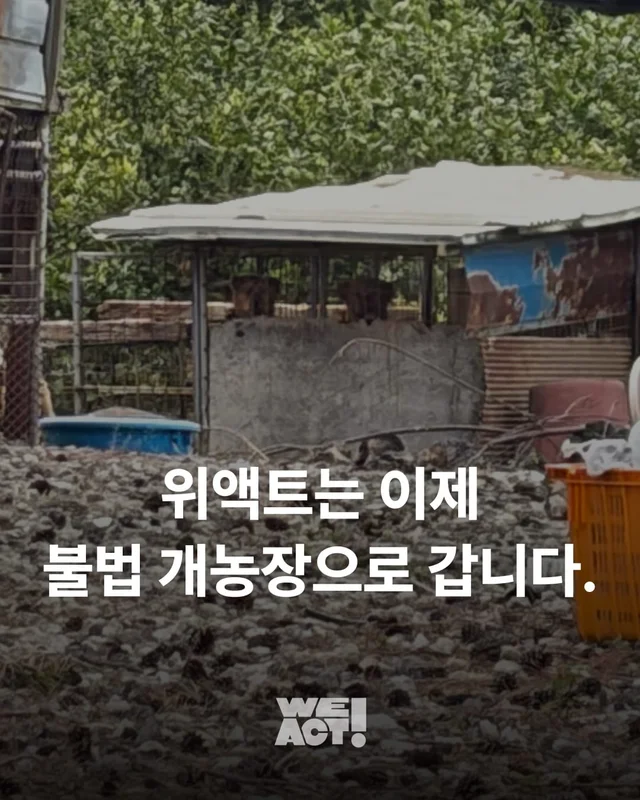 제주 불법개농장 현장 사진