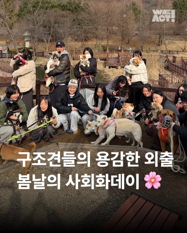 구조견들의 용감한 외출 사회화데이 현장 사진