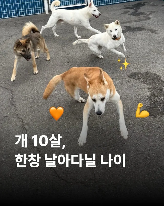 내 나이가 어때서 ! 현장 사진