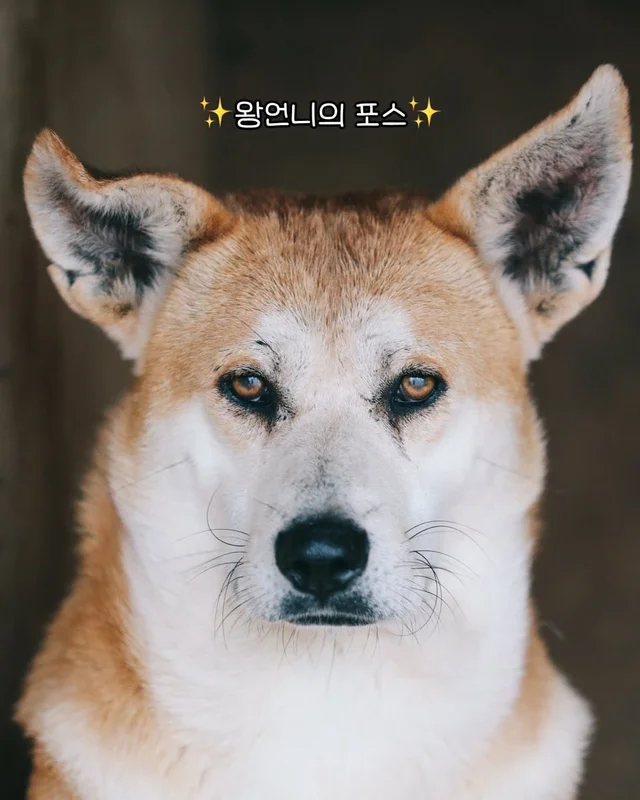 내 나이가 어때서 ! 현장 사진