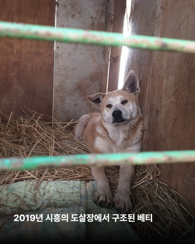 내 나이가 어때서 ! 현장 사진