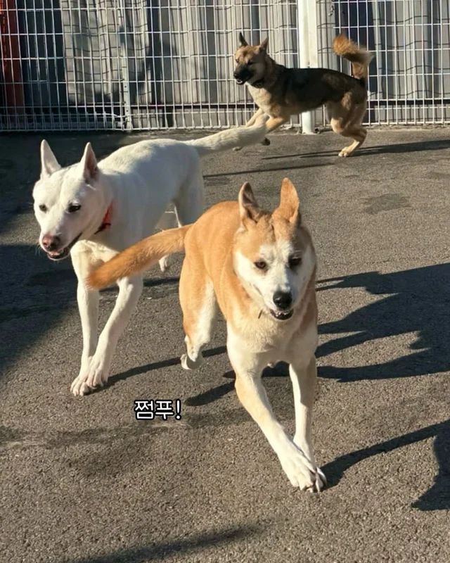 내 나이가 어때서 ! 현장 사진