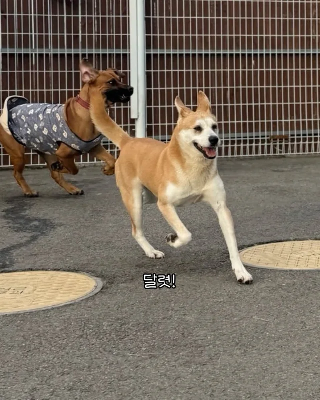 내 나이가 어때서 ! 현장 사진