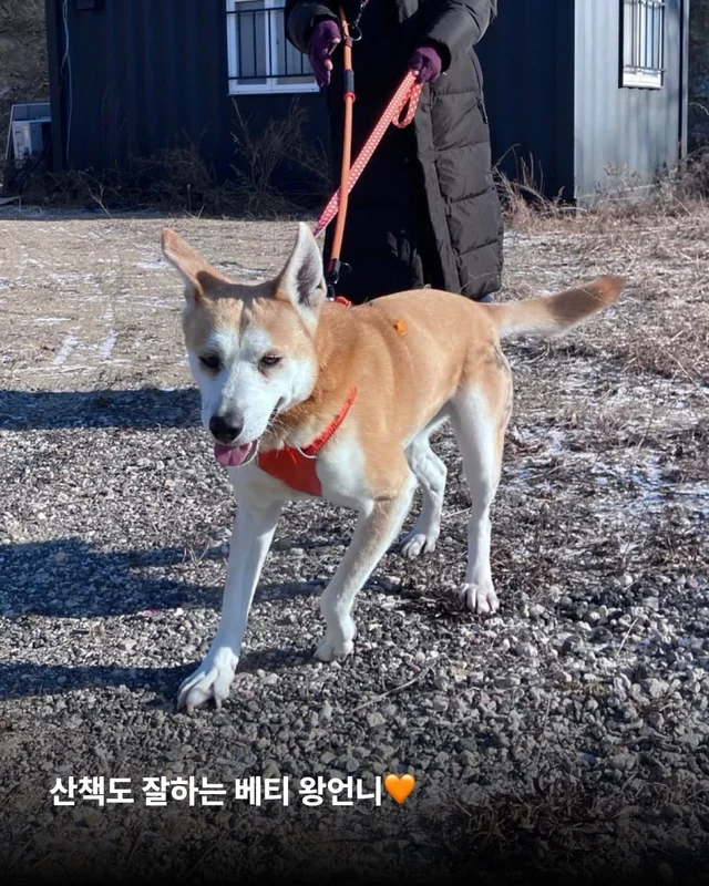 내 나이가 어때서 ! 현장 사진