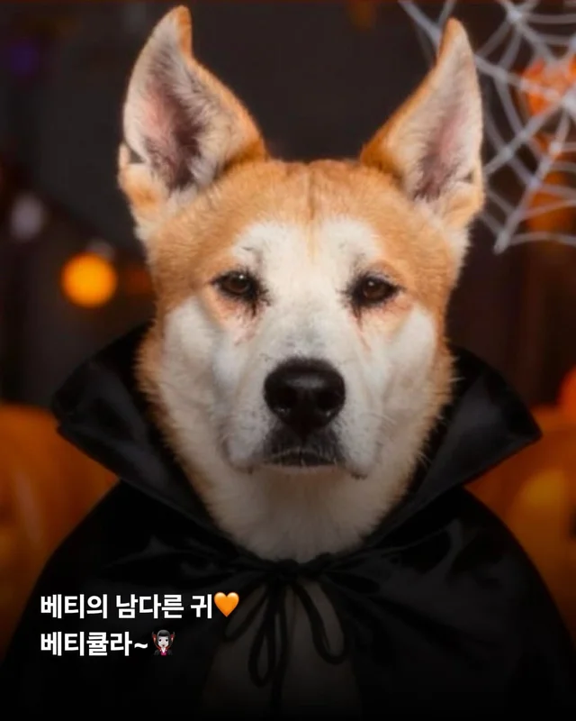 내 나이가 어때서 ! 현장 사진