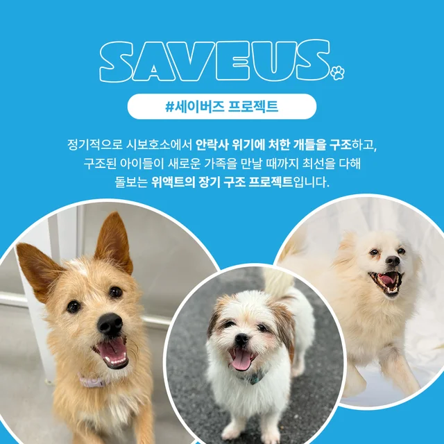 세이버즈 프로젝트를 소개합니다. 현장 사진