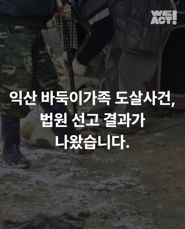 익산 바둑이가족 도살사건, 법원 선고 결과가 나왔습.. 현장 사진