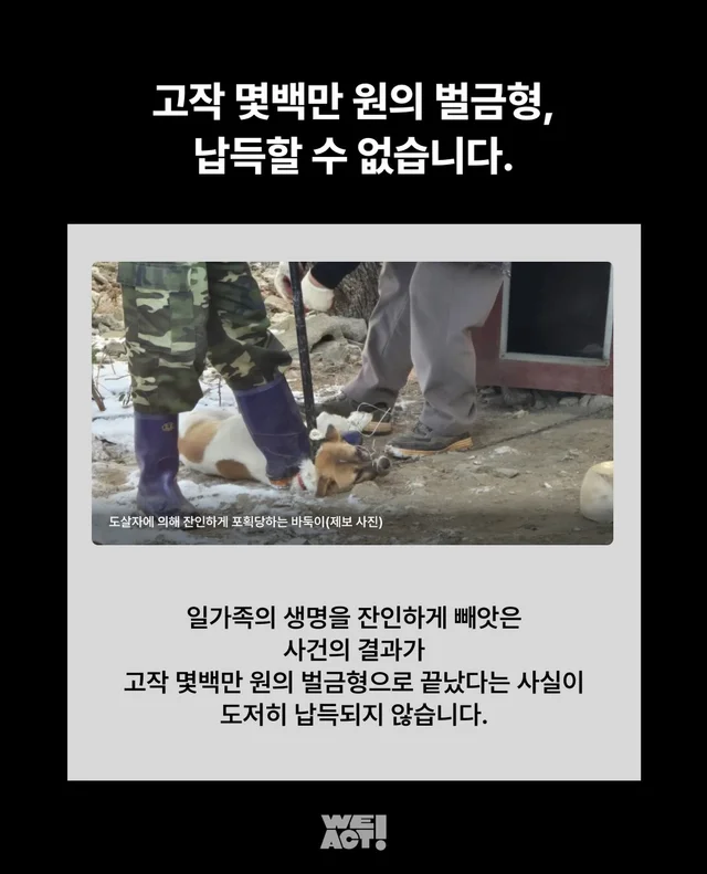 익산 바둑이가족 도살사건, 법원 선고 결과가 나왔습.. 현장 사진