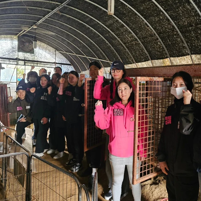 홍성유기견보호소 현장 사진
