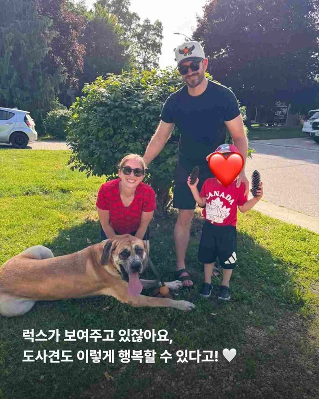 도사견은 행복하면 안 되나요? 현장 사진