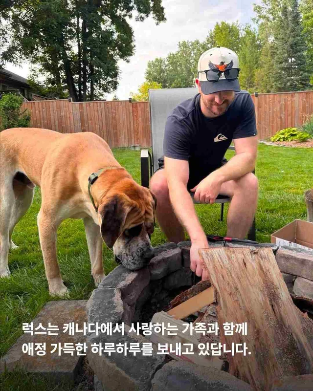 도사견은 행복하면 안 되나요? 현장 사진