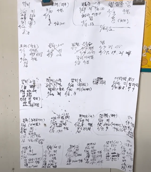 죽은개와사라진개들 현장 사진