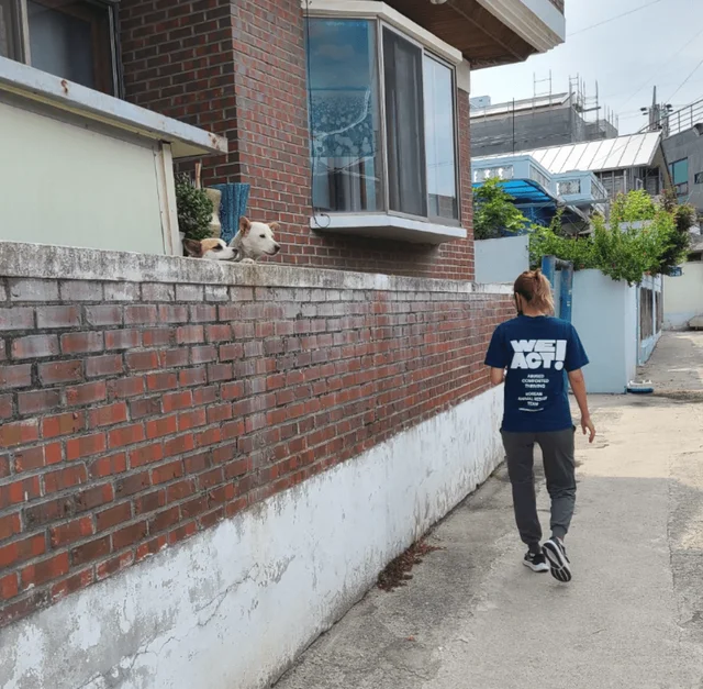 주둥이를잡힌아이 현장 사진