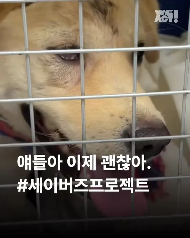 얘들아 이제 괜찮아 #세이버즈프로젝트 현장 사진