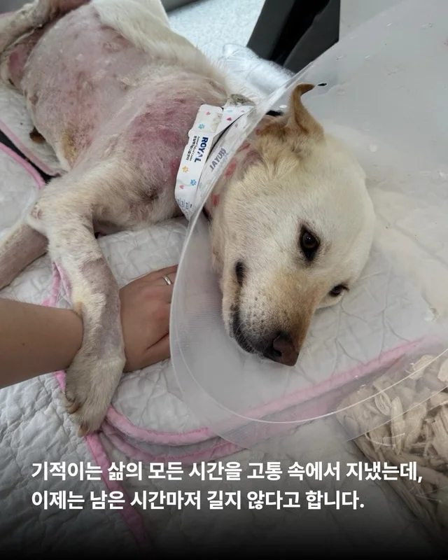 기적이에게 많은 엄마아빠가 필요해요 현장 사진