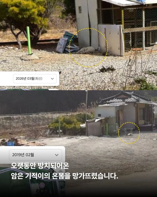 기적이에게 많은 엄마아빠가 필요해요 현장 사진