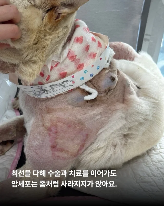 기적이에게 많은 엄마아빠가 필요해요 현장 사진