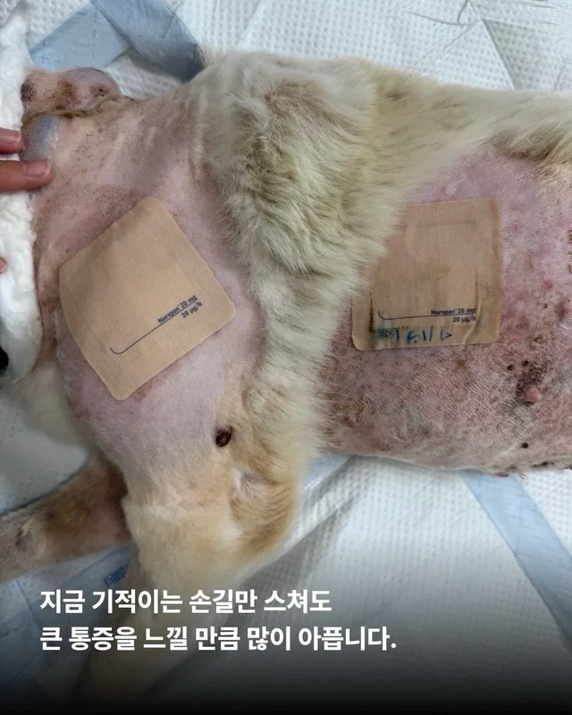 기적이에게 많은 엄마아빠가 필요해요 현장 사진