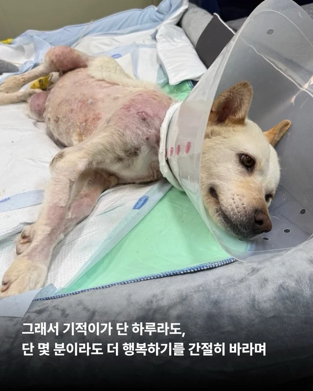 기적이에게 많은 엄마아빠가 필요해요 현장 사진