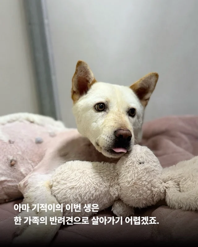 기적이에게 많은 엄마아빠가 필요해요 현장 사진