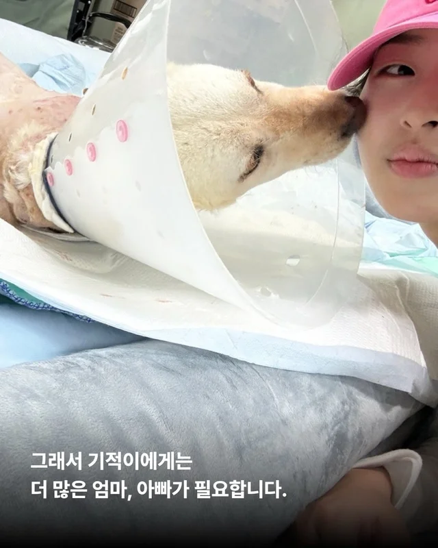 기적이에게 많은 엄마아빠가 필요해요 현장 사진