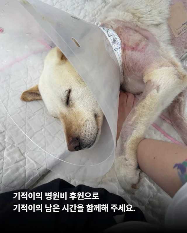 기적이에게 많은 엄마아빠가 필요해요 현장 사진