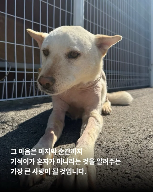 기적이에게 많은 엄마아빠가 필요해요 현장 사진
