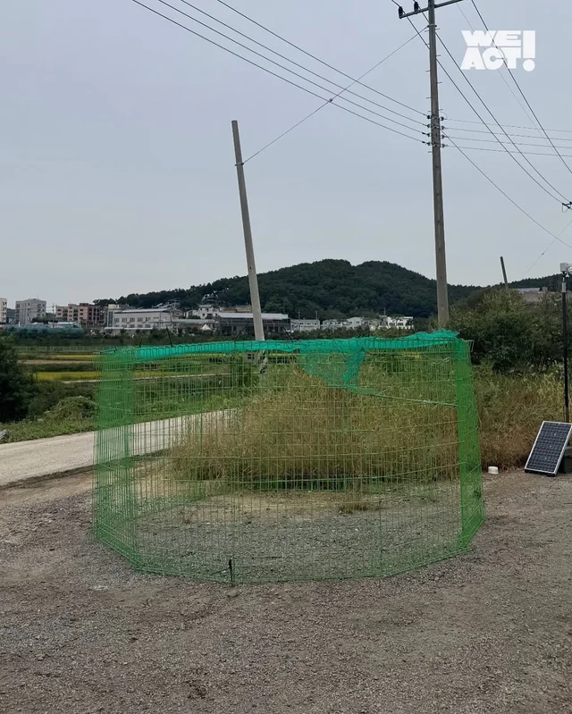 화성유기방치학대 현장 사진