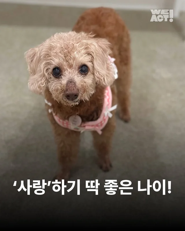 위액트 사랑 - 부산개백화점 현장 사진