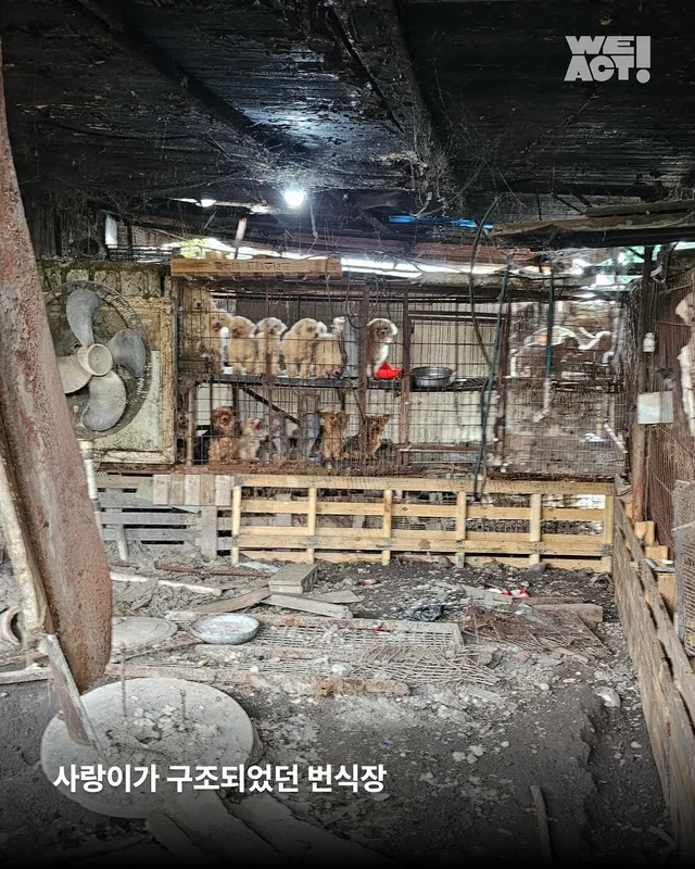 위액트 사랑 - 부산개백화점 현장 사진