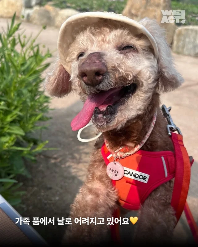 위액트 사랑 - 부산개백화점 현장 사진