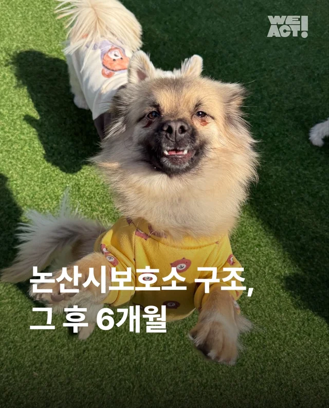 논산시보 구조 6개월 뒤 현장 사진