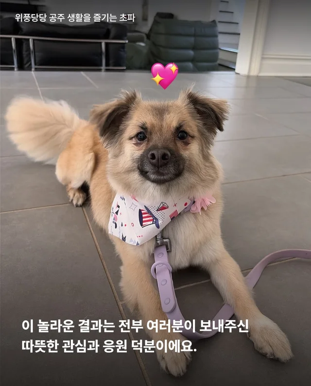 논산시보 구조 6개월 뒤 현장 사진