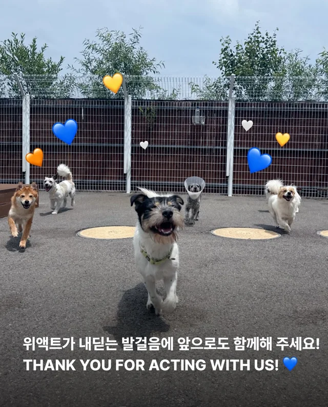 논산시보 구조 6개월 뒤 현장 사진