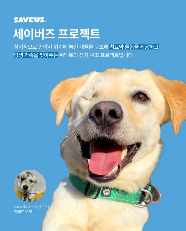 논산시보 구조 6개월 뒤 현장 사진